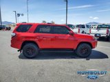 Used 2022 Toyota 4Runner SR5 Premium w/ TRD Black Wheel Package (TMS) image 4