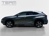 Used 2020 Lexus NX 300 FWD w/ Premium Package image 4