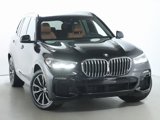 Used 2019 BMW X5 xDrive40i w/ M Sport Package image 2