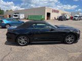 Used 2016 Ford Mustang Premium image 6