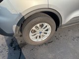 Used 2022 Ford Escape SE w/ Cold Weather Package image 4