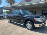 Used 2013 Ford F150 XLT w/ Luxury Equipment Group image 2
