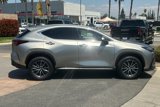Used 2025 Lexus NX 250 FWD image 3