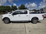 Used 2020 Ford F150 XLT w/ Equipment Group 302A Luxury image 4