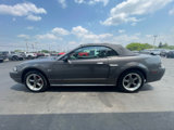 Used 2003 Ford Mustang GT Premium image 6