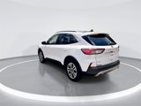 Used 2020 Ford Escape SEL image 5