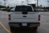 Used 2019 Ford F150 XLT image 6