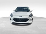 Used 2020 Ford Escape SE image 2