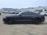 Used 2017 Ford Mustang GT image 4