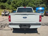 Certified 2023 Ford F150 XLT w/ Equipment Group 302A High image 4