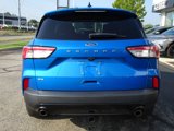 Used 2021 Ford Escape SE w/ SE Sport Appearance Package image 4