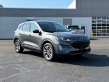 Certified 2022 Ford Escape SEL image 2