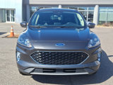 Certified 2020 Ford Escape SEL image 3