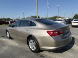 Used 2024 Chevrolet Malibu LT image 5