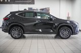 Certified 2024 Lexus NX 250 AWD image 5