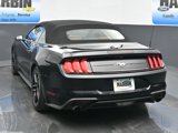Used 2021 Ford Mustang Premium image 4
