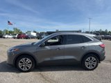 Used 2022 Ford Escape SEL image 3