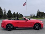 Used 2016 Ford Mustang GT Premium w/ Equipment Group 401A image 2