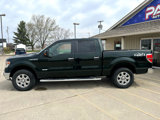 Used 2014 Ford F150 XLT w/ Equipment Group 302A Luxury image 4