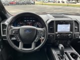 Used 2019 Ford F150 XLT w/ Equipment Group 302A Luxury image 3