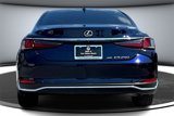 Used 2024 Lexus ES 250 w/ Premium Package image 5
