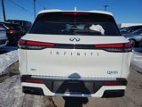 New 2025 INFINITI QX60 Pure w/ Cargo Package image 6