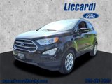 Certified 2019 Ford EcoSport SE image 4