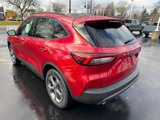 New 2025 Ford Escape ST-Line w/ Tech Pack #1 image 5