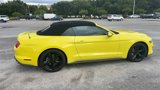 Certified 2021 Ford Mustang Premium image 6
