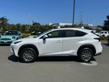 Used 2021 Lexus NX 300h AWD w/ Comfort Package image 2