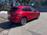 Used 2024 Ford Escape ST-Line image 6