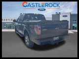 Used 2013 Ford F150 FX4 w/ Luxury Equipment Group image 5