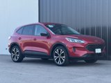 Used 2022 Ford Escape SE image 4