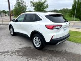 Used 2022 Ford Escape SE image 5