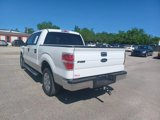 Used 2010 Ford F150 XLT image 3