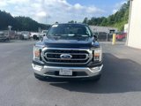 Certified 2023 Ford F150 XLT w/ Equipment Group 302A High image 2