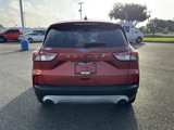 Certified 2020 Ford Escape S image 4