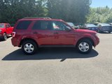 Used 2011 Ford Escape XLT image 4