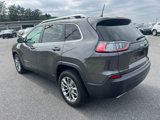 Used 2019 Jeep Cherokee Latitude Plus image 5