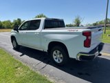 Used 2020 Chevrolet Silverado 1500 LT w/ All-Star Edition image 5