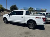 Used 2019 Ford F150 XLT w/ Equipment Group 302A Luxury image 5