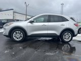 Used 2020 Ford Escape SE image 4