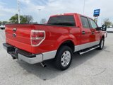 Used 2011 Ford F150 XLT w/ XLT Chrome Pkg image 5