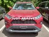 Used 2019 Toyota RAV4 XLE image 2