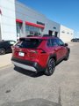 Used 2019 Toyota RAV4 Adventure image 5
