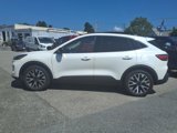 Used 2020 Ford Escape SE Sport image 6