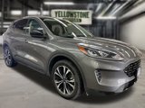Used 2021 Ford Escape SE w/ SE Sport Appearance Package image 6