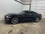 Used 2023 Ford Mustang GT Premium w/ Mustang Nite Pony Package image 2