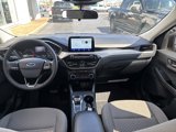 Used 2022 Ford Escape SE w/ Convenience Package image 2