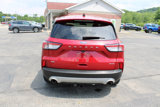 Used 2022 Ford Escape SE w/ Convenience Package image 4